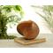 Handmade oak wood femisphere sculpture for sale